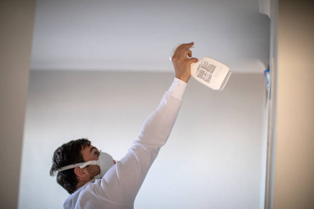 Best Water Damage Restoration  in Mount Olive, AL