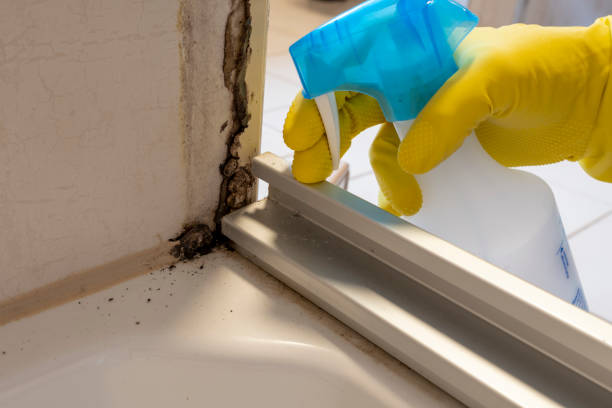 Best Mold Testing  in Mount Olive, AL